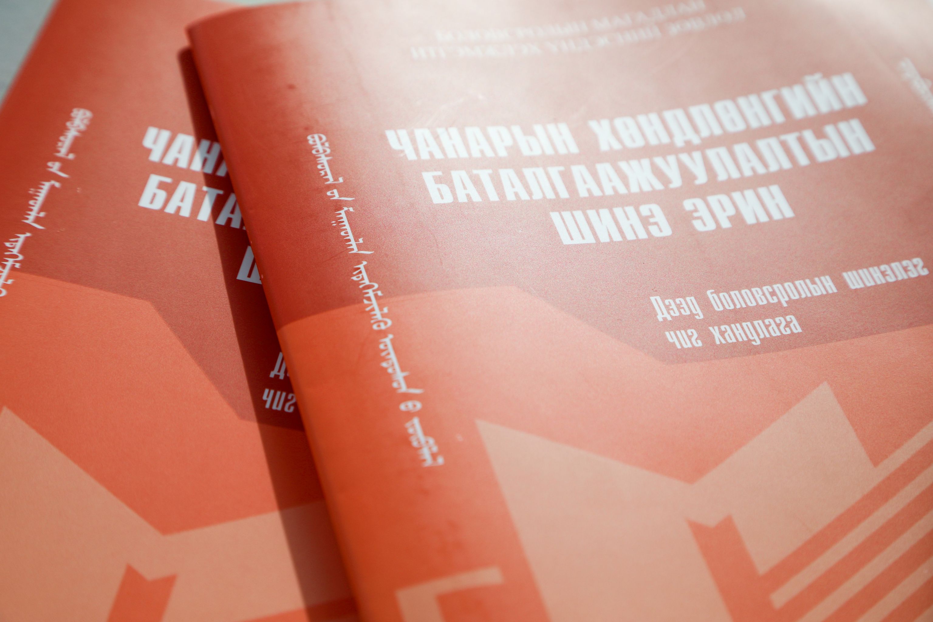 БМИҮЗ-ийн Ажлын албаны захирал, доктор О. Янжмаа ОТИС-ийн багш нарт илтгэл тавилаа